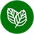 Menta