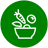 Verdure