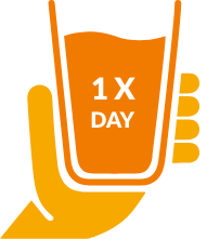 1x Day